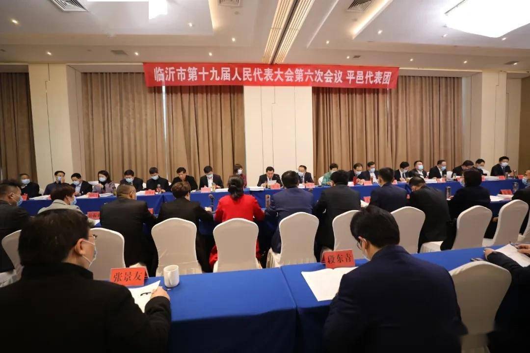 戚军参加临沂市第十九届人大第六次会议平邑代表团审议政府工作报告