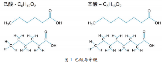 中链脂肪酸是指分子结构中含有6~12个碳原子的脂肪酸,它们可以中链