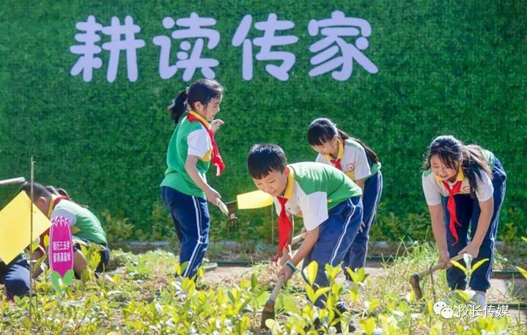 小学生劳动教育的人学思考