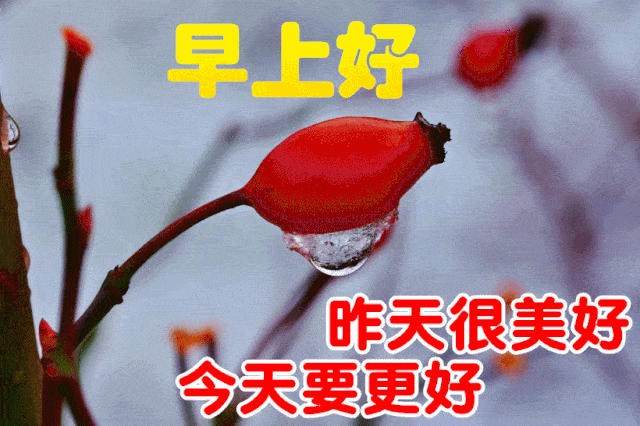 1月28日最漂亮早上好动态表情图片大全早晨好美图大全