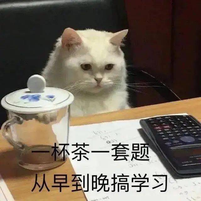 【沙雕表情包】沙雕猫猫表情包