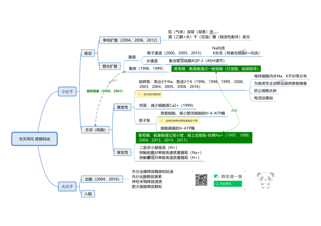 跨膜转运结束啦,看看纸质版和思维导图的小结易错吧 day15【细胞的