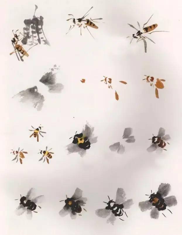 画蜜蜂,胸,腹之间可点黄色,也可不点. 黄蜂画法步骤: 1.画背部;2.