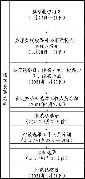 村(社区)"两委"换届选举工作流程图