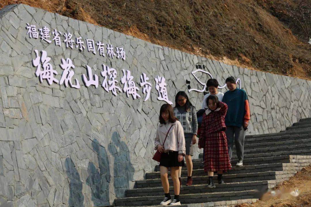 中国绿都 最氧三明 | 三明这个地方的梅花开了,379种梅花簇拥成海