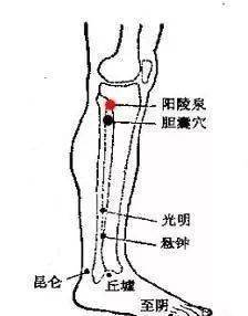 胆囊穴位 来自搜狐网