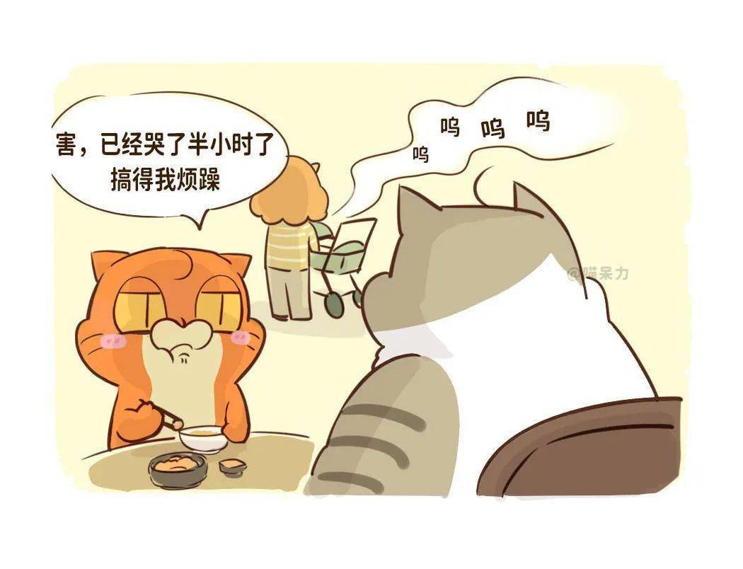 绝了!这才是最骚的