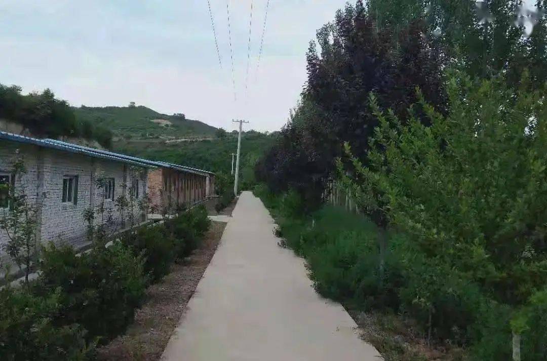 雷中朝:退伍不褪色,创业当模范 | 耀州故事之脱贫故事