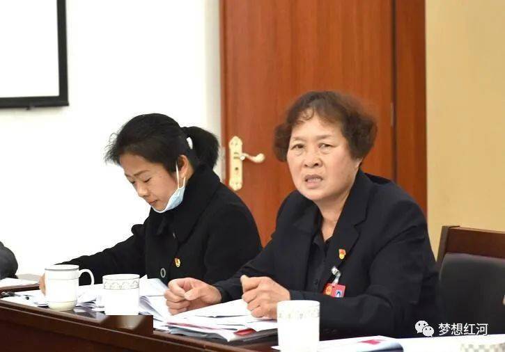 红河县第十五届人大五次会议举行第三次代表团会议