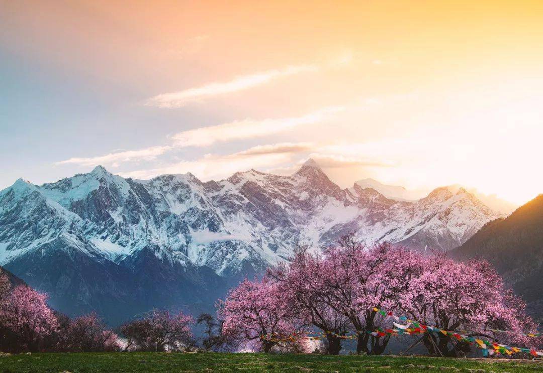 "雪域江南"—西藏林芝桃花摄影采风,3月30-4月5日,报名开启!