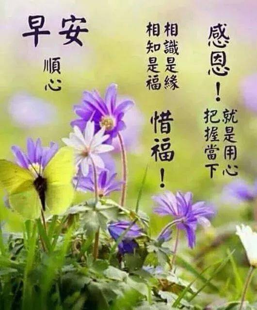 冬天来了早上好问候祝福语唯美动态祝福图片,特好看早安祝福美图送给