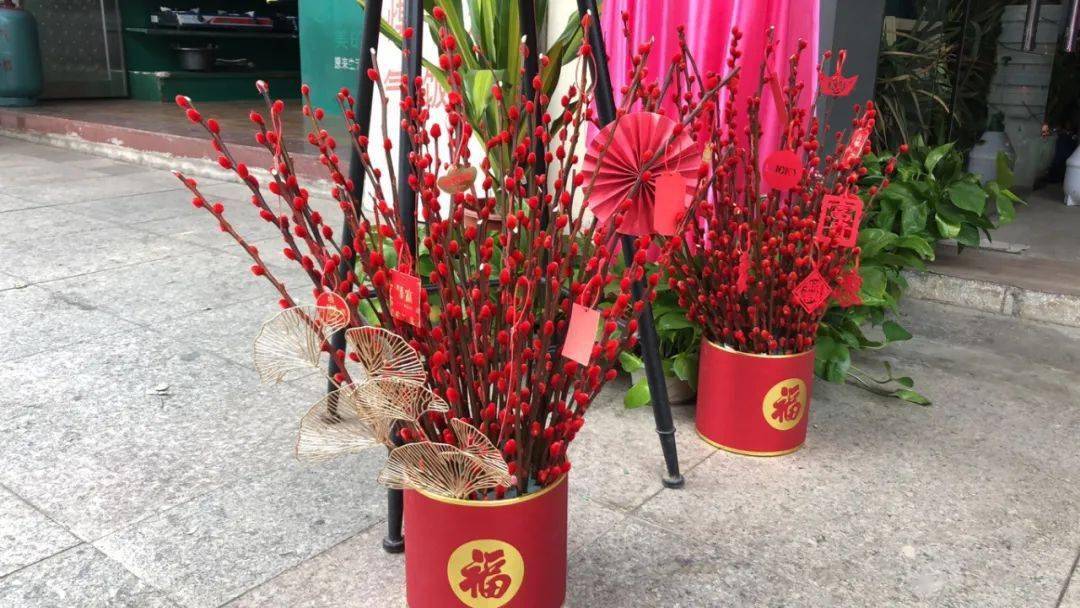 直播| 明天上午十点,58元起抢购年宵花福桶,更有好礼送送送!