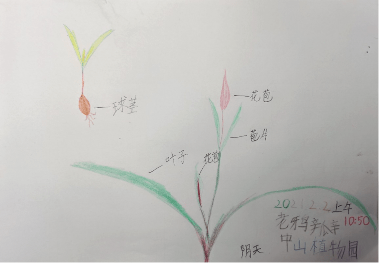 亲近自然发现时节之美紫金山立春自然笔记活动