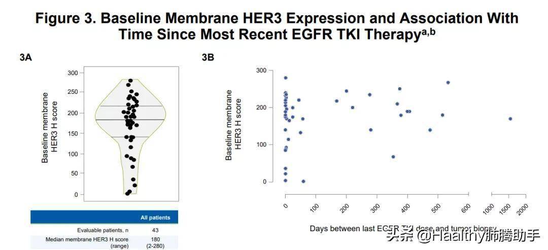 世界肺癌大会公布最新研究_患者