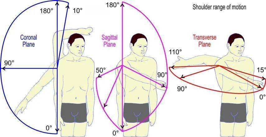 肩关节正常活动度