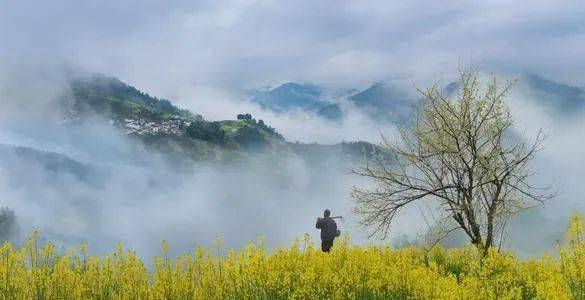 大洲源,一个只存在民国时期的名字,或许更久远,如今只有一条小河叫