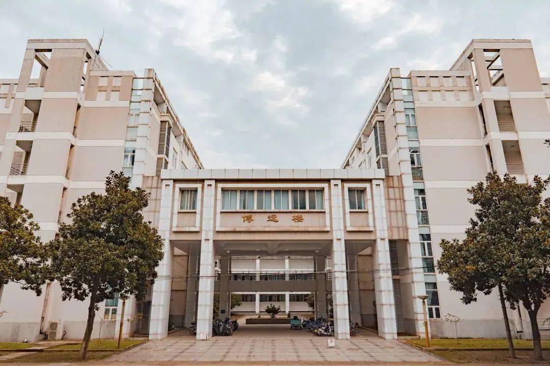 寒招 东南大学 南京农业大学