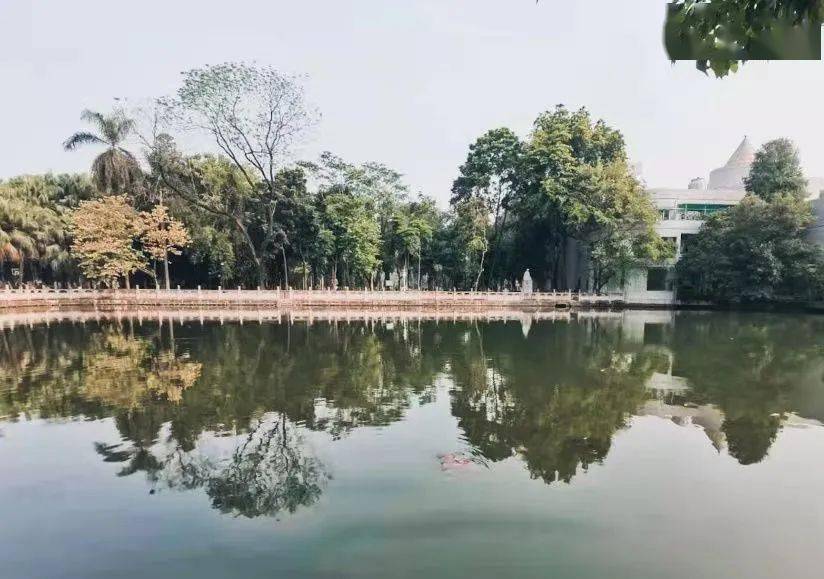 尽可能要避免被手机所捆绑,陷入王者荣耀英雄联盟或各种动漫二次元