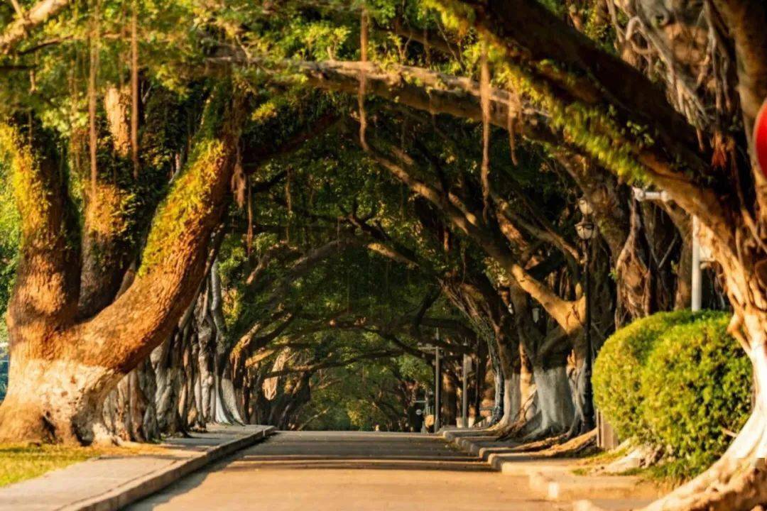 尽可能要避免被手机所捆绑,陷入王者荣耀英雄联盟或各种动漫二次元