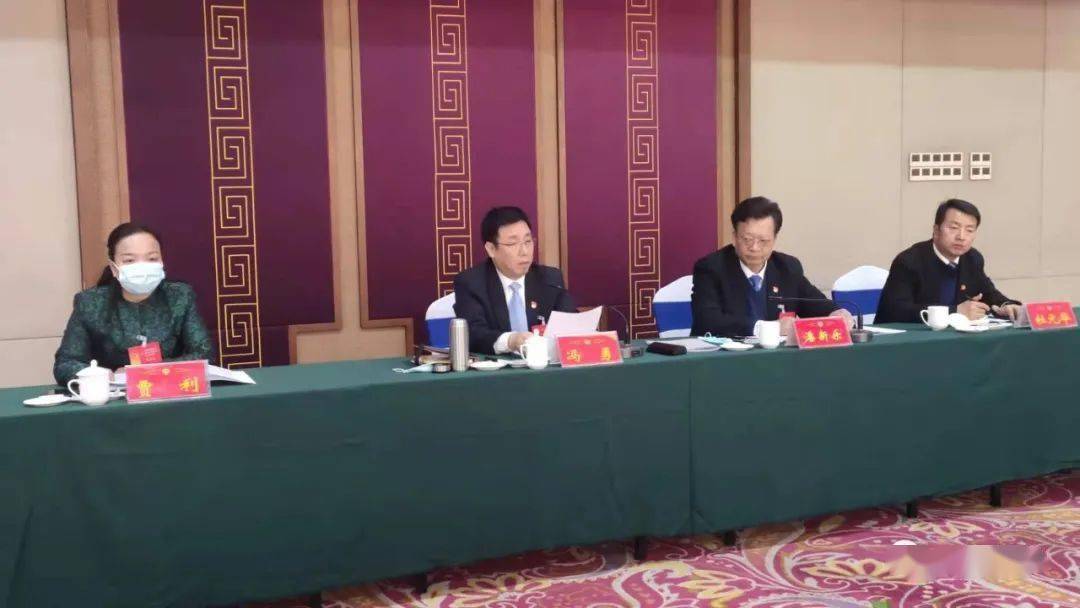 冯勇参加政协经济联组讨论时强调: 发挥优势 担当作为 助力陕州经济