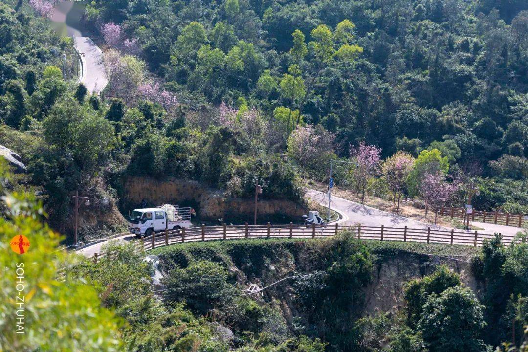 3 观音山郊野公园 观音山郊野公园 也是春季出游的好去处 公园位于