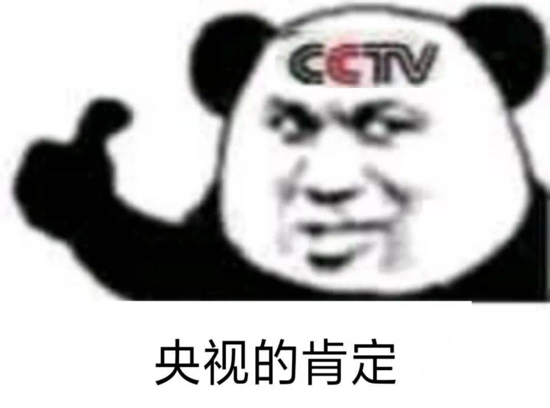 熊猫头表情包来自央视的肯定