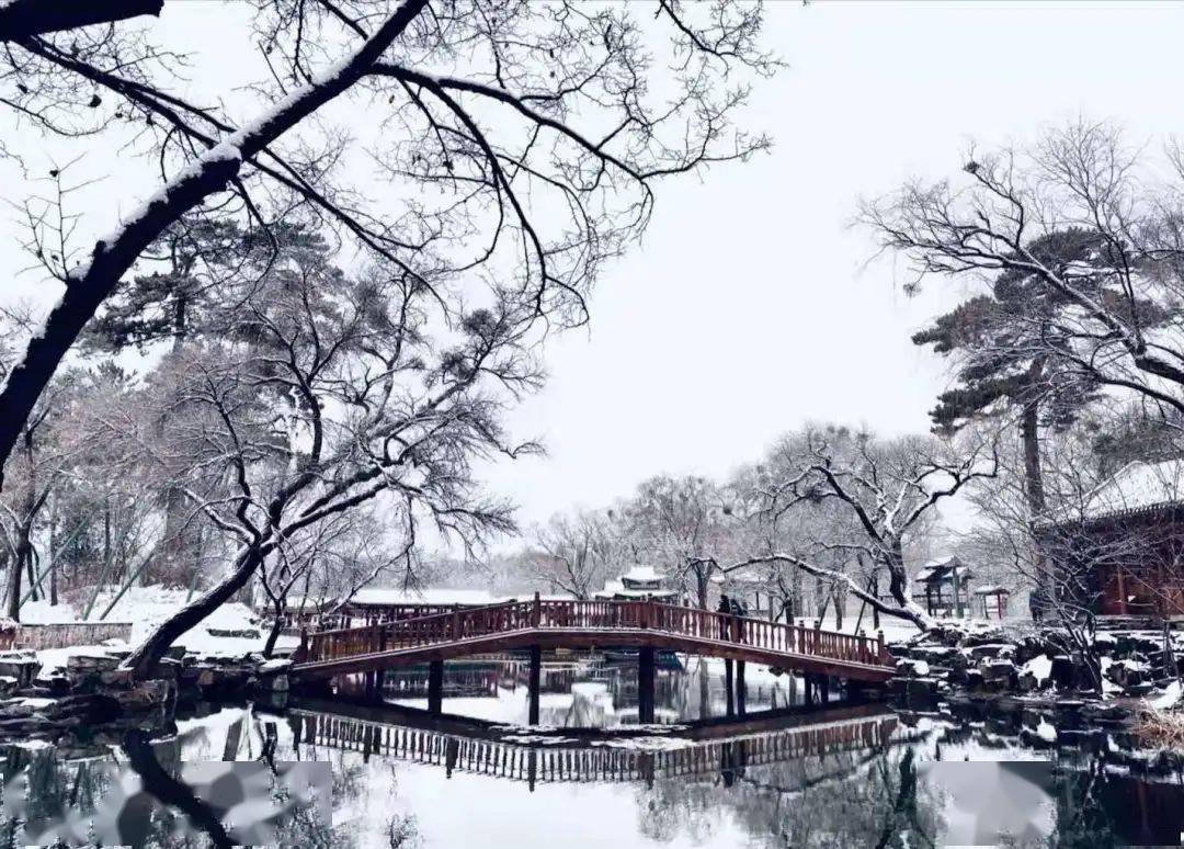 真好看!"影迷"家乡雪景大赏