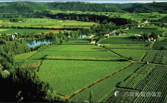 的贝尔热拉克和多尔多涅河,大量的波尔多葡萄品种在这个产区广泛种植