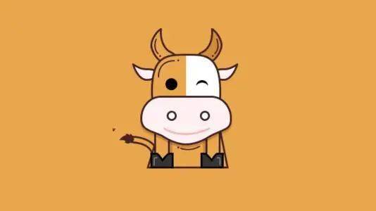 "牛"年说牛,牛年的英文是不是"cow year"?