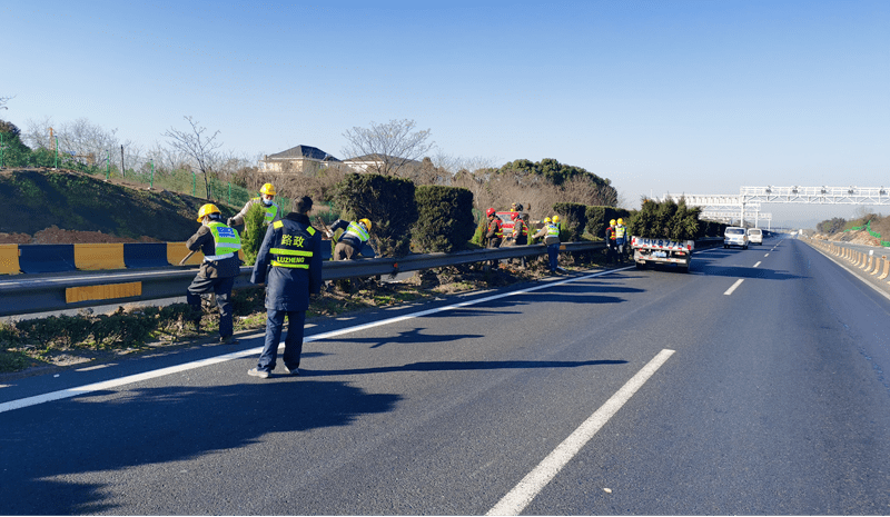 杭金衢高速公路上,施工人员修复防眩板,并补种绿植