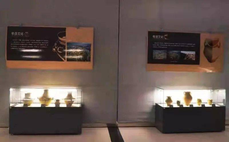 二,花卉艺术展 展览地点:金川区花文化博览馆