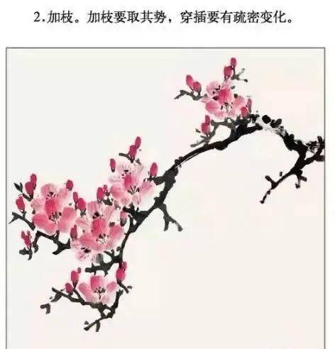 【国画教程】海棠花,杜鹃花的画法和上色