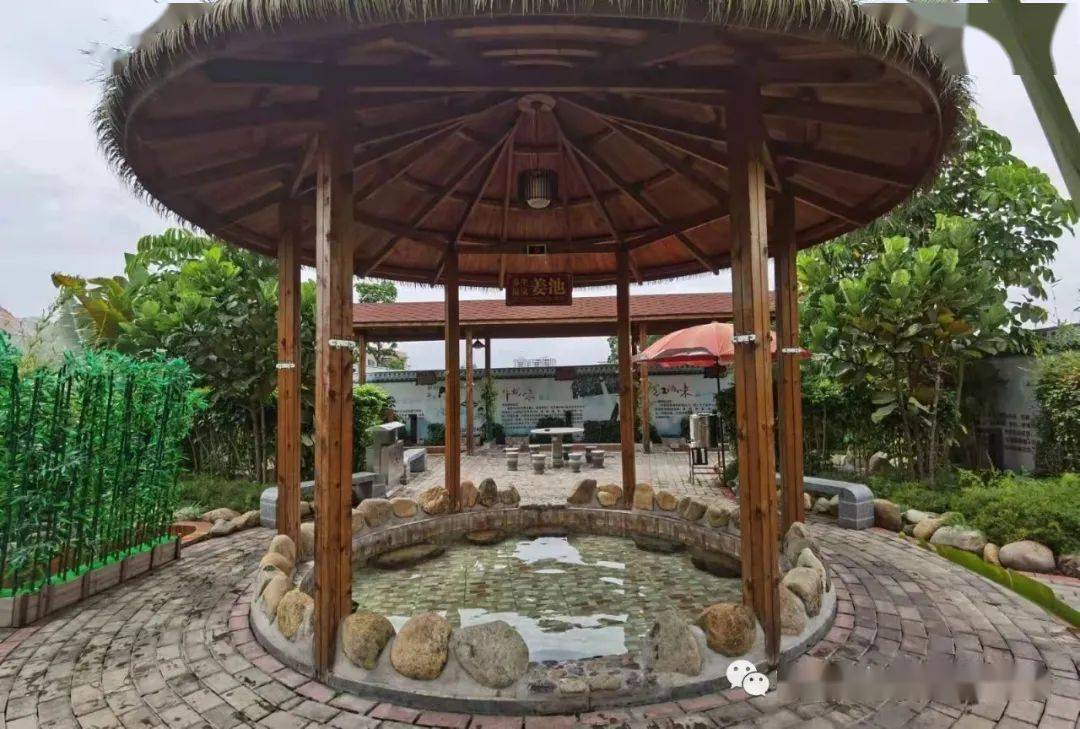 凤凰山杜鹃花海丰顺汤坑温泉3天游纯玩