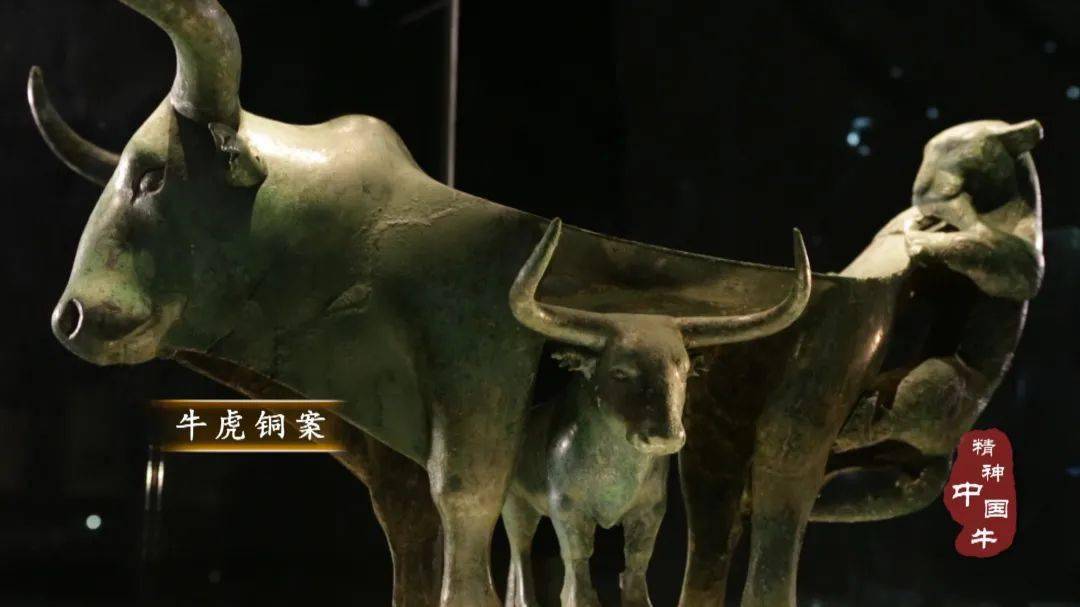 博物馆之夜 | 风采中国牛 如果牛牛会说话