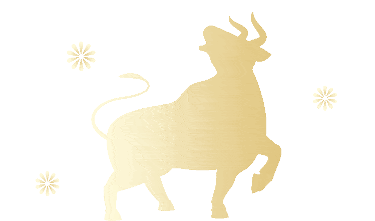 子鼠献瑞辞旧岁丑牛添福迎新春为庆祝新春佳节,2月12日,松江区消防