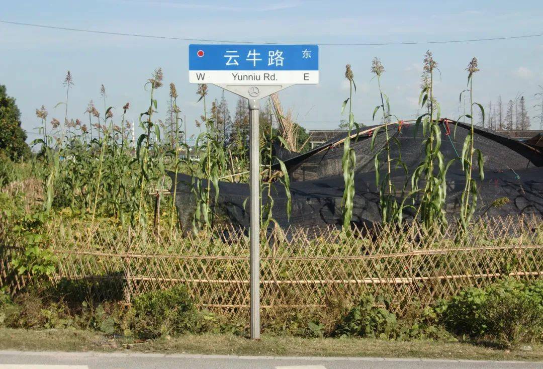 张牛路