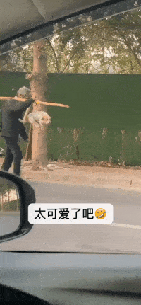 搞笑gif:小姨子越来越调皮了,怎么办才好?