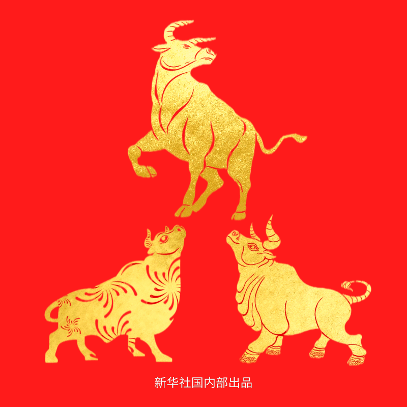 让我们发扬孺子牛,拓荒牛,老黄牛精神,铆足干劲"犇"起来!_手机搜狐网