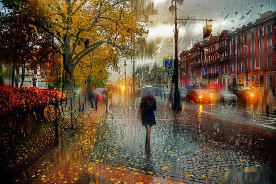 雨中即景,如油画般美丽(99图)