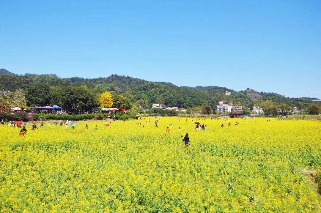 花都区梯面镇红山村位列其中!