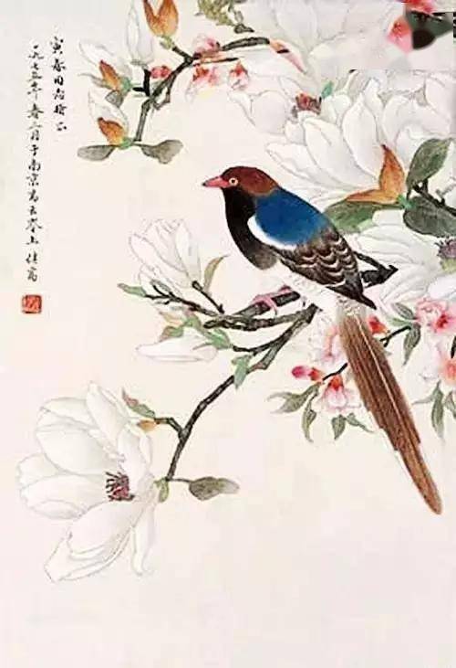 历代名家笔下的玉兰花,美不胜收