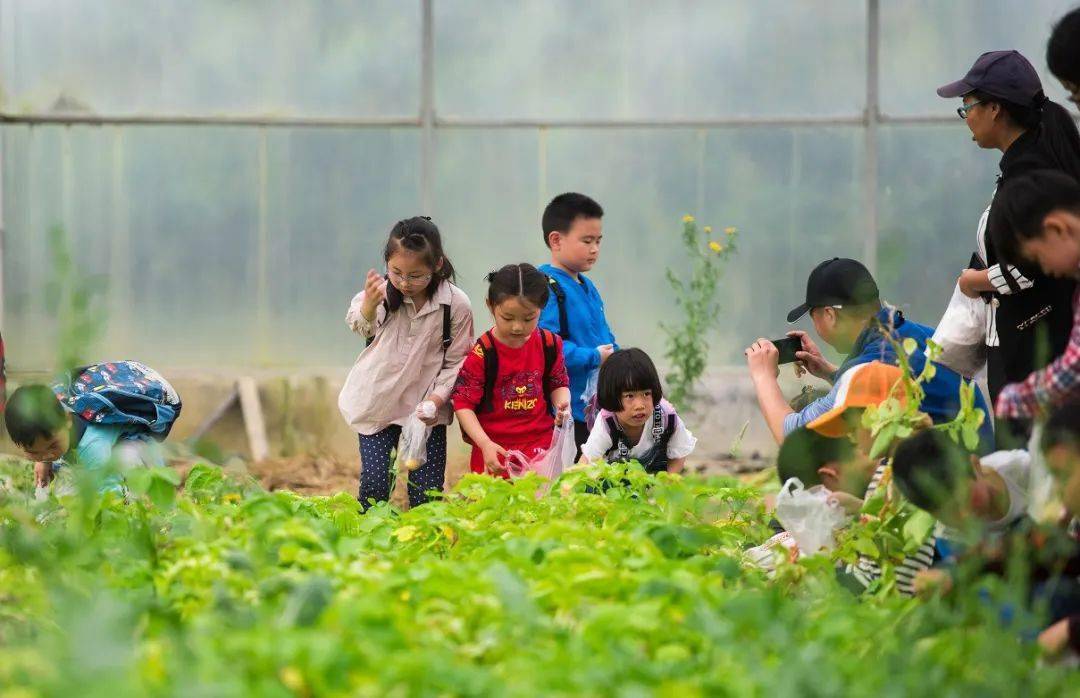 春节假期苏州湾亲子研学游的正确打开方式