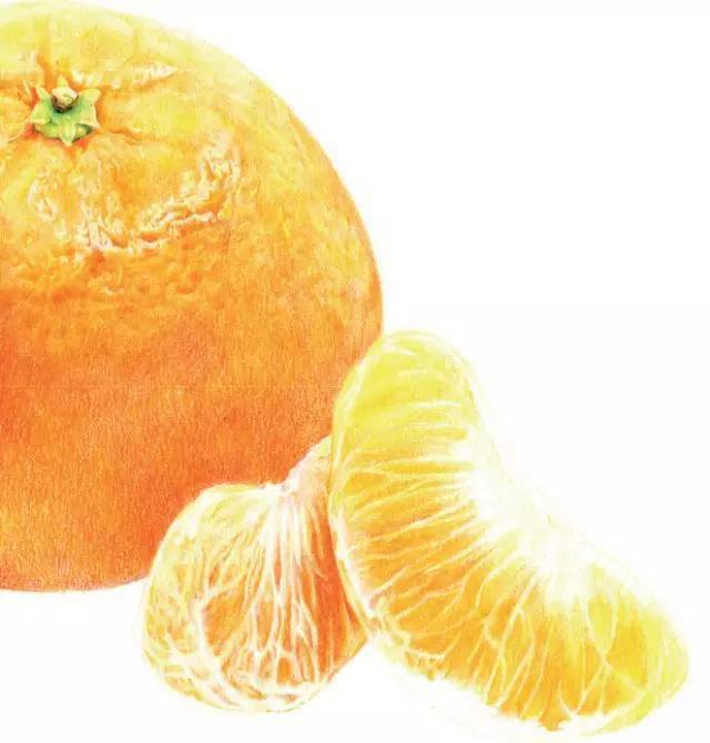教程教你用彩铅画酸甜可口的橘子