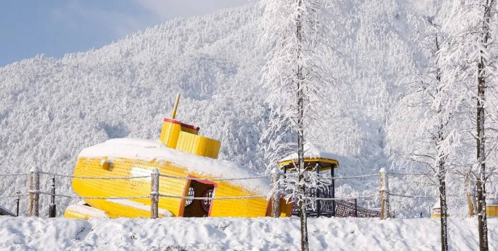 四川多个景区迎来新春瑞雪,峨眉山,海螺沟,西岭雪山冰雪世界太梦幻!