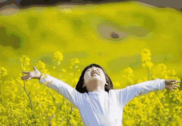 女王节打卡「惠州」精心为你准备500亩金色海洋花海