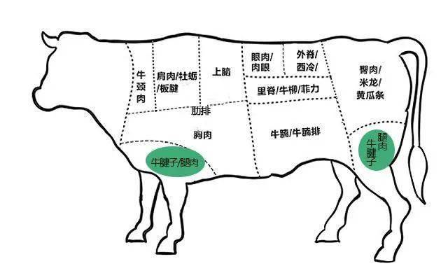 牛身各部位肉叫啥名你知道吗