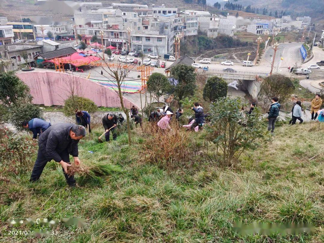 大方县兴隆乡: 开展义务植树活动 为苗乡大地添绿装