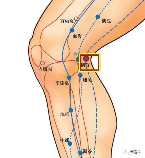 中医常说"肾主骨",颈椎和椎体都是骨头的一部分,所以揉阴谷穴可以治疗