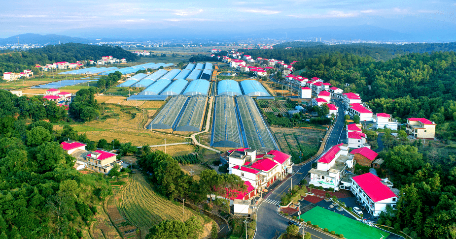 紫溪村