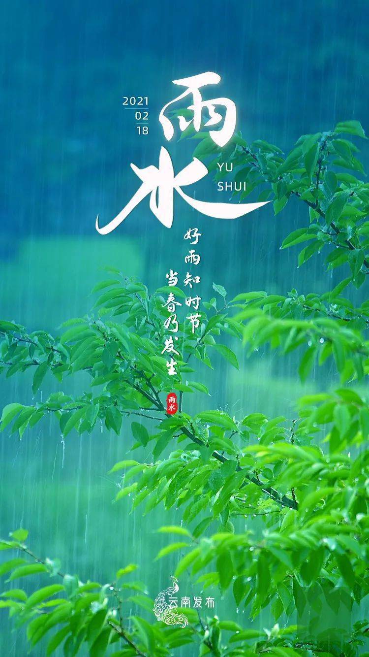 【今日雨水】一"滴"春雨,唤回美好人间